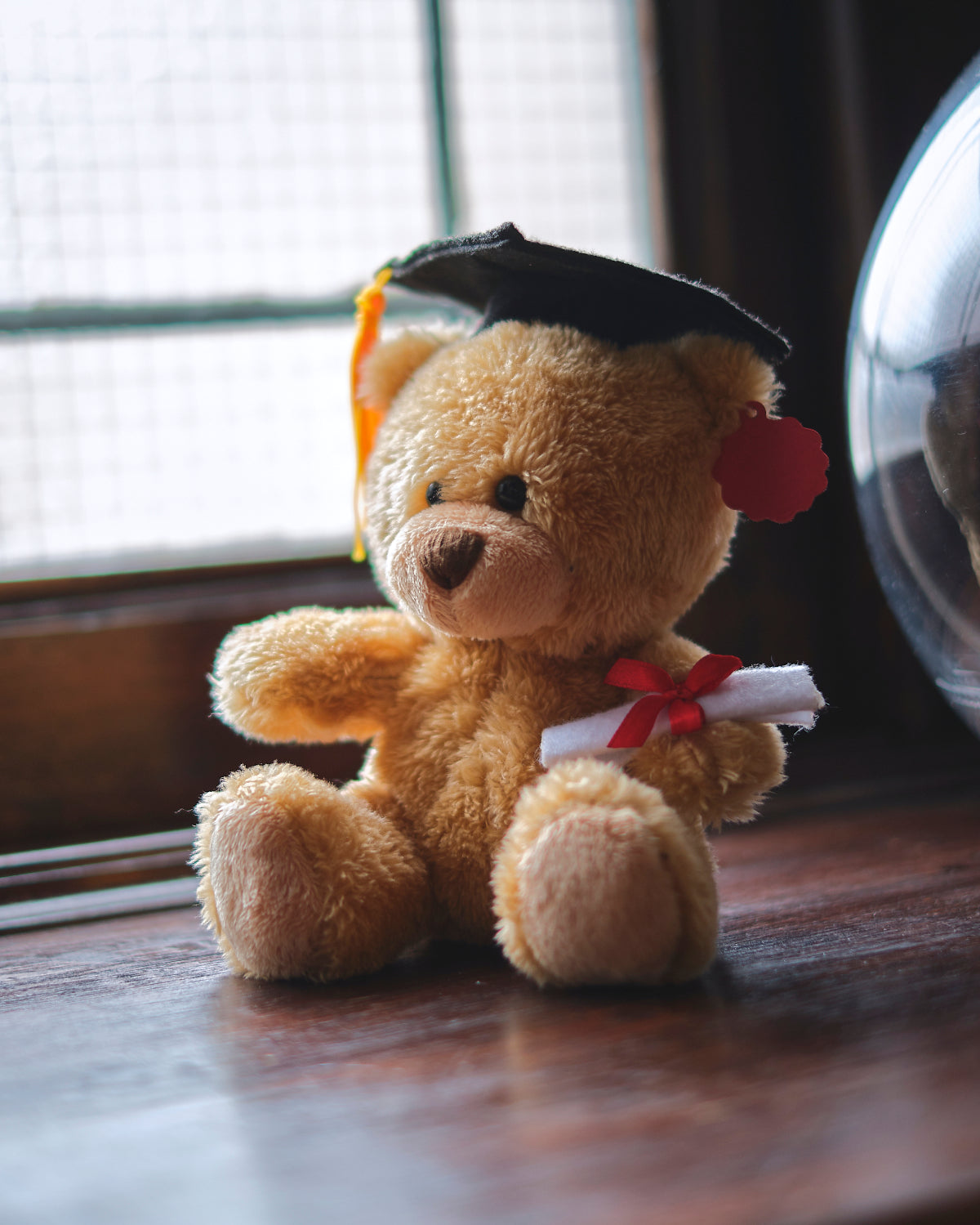 Graduation Teddy Bear