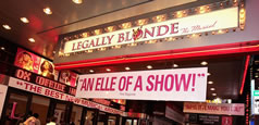 Legally Blonde: Harvard Graduation Ceremony