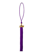 University of Portsmouth Graduation Tassel with Year Charm 2026