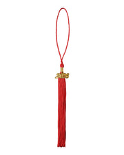 University of Salford Graduation Tassel with Year Charm 2026