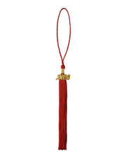 Graduation Tassel with Year Charm 2026 - Packs of 2