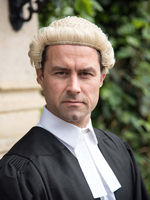 Vegan Barristers Set - Vegan Gown, Wig and Band - Blonde - 5 WEEK LEAD TIME
